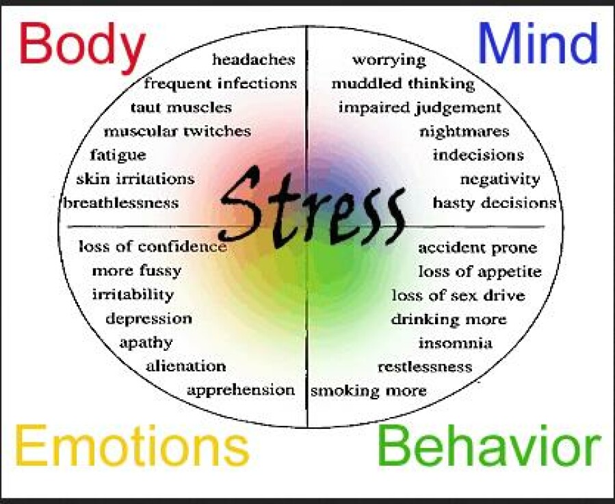 How Stress Can Cause Weight Loss