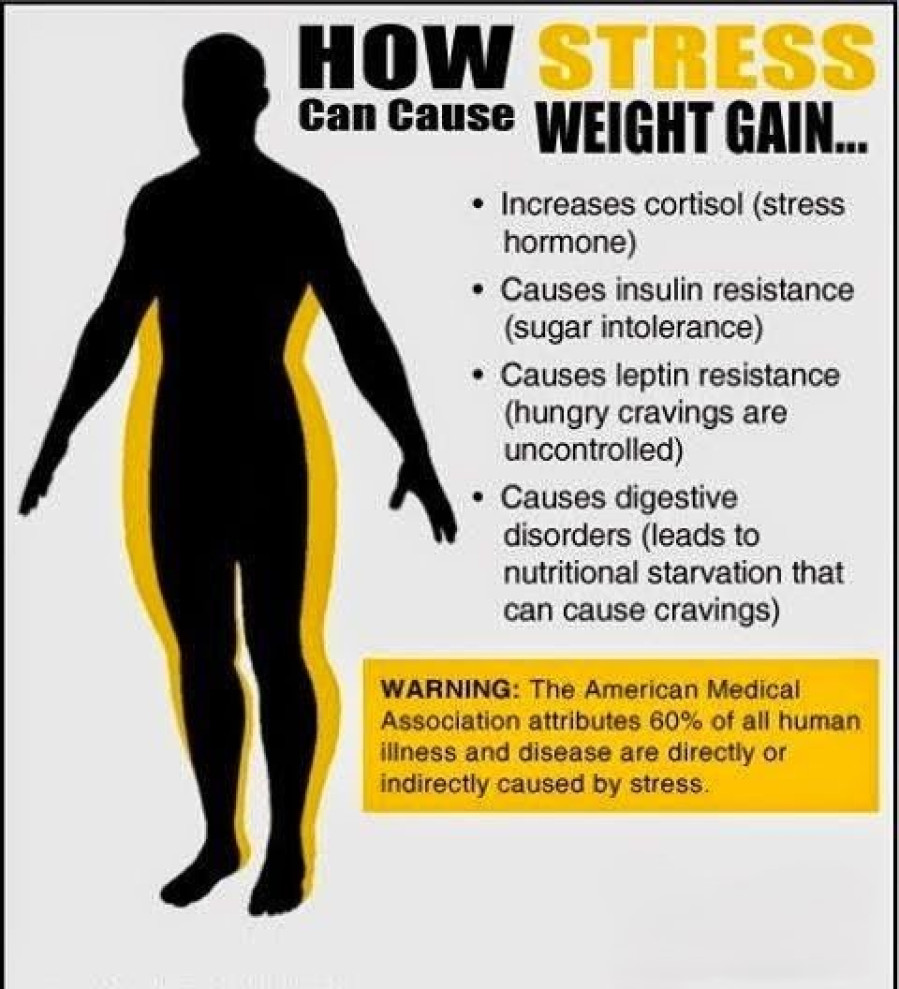 How Stress Can Cause Weight Gain